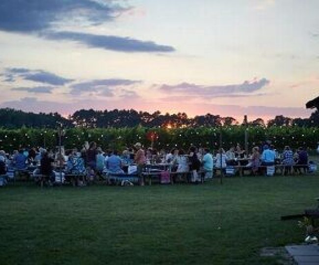 people-sitting-on-green-grass